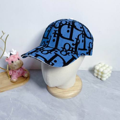 Dior Hats AAA-1106