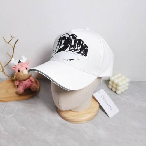 Dior Hats AAA-1012