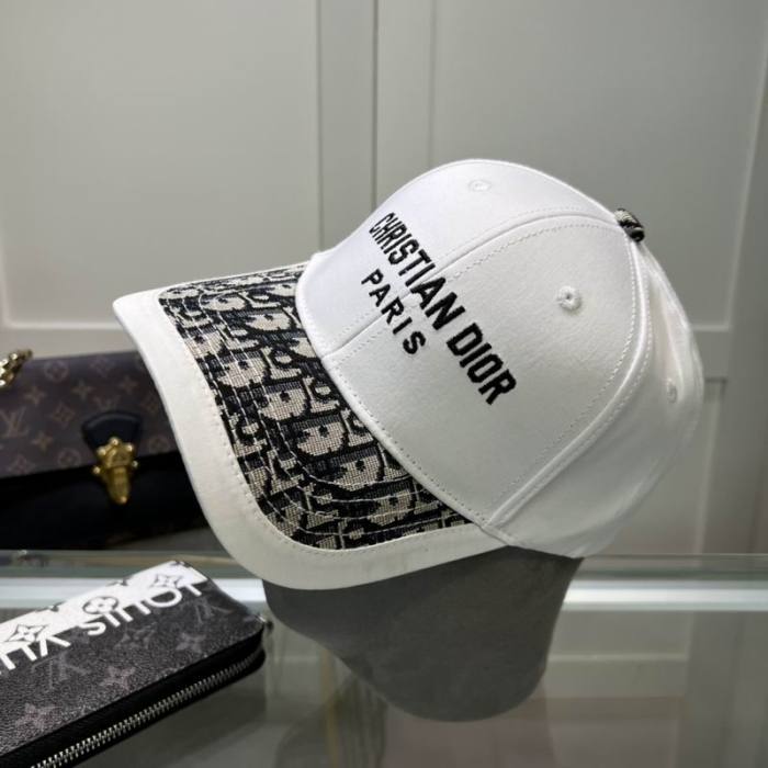 Dior Hats AAA-1067