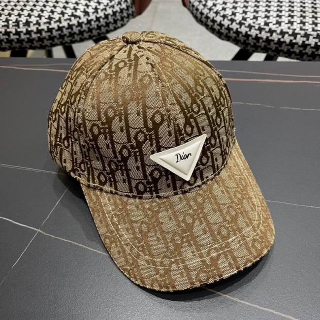 Dior Hats AAA-1222