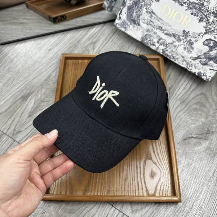 Dior Hats AAA-1137