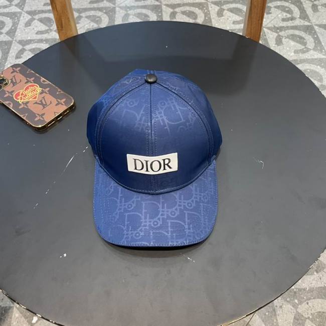 Dior Hats AAA-1202