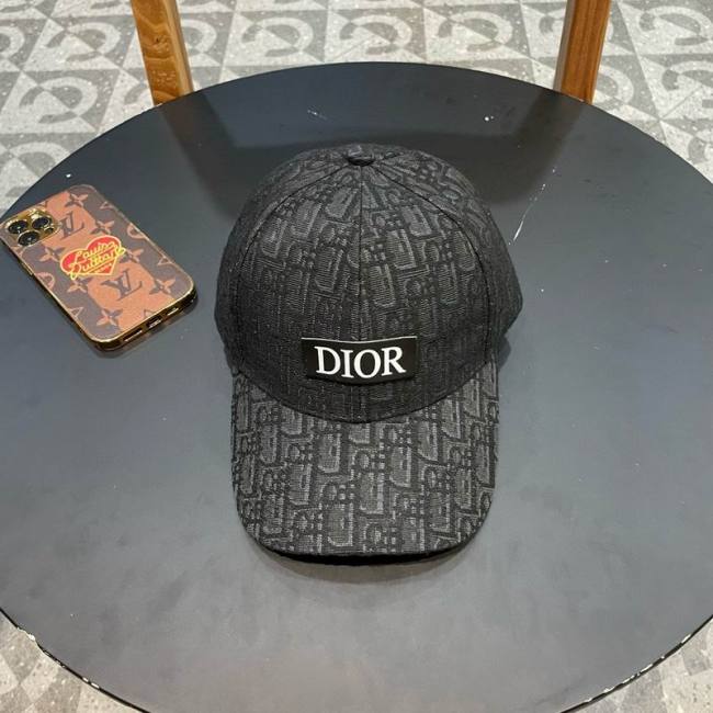 Dior Hats AAA-1253