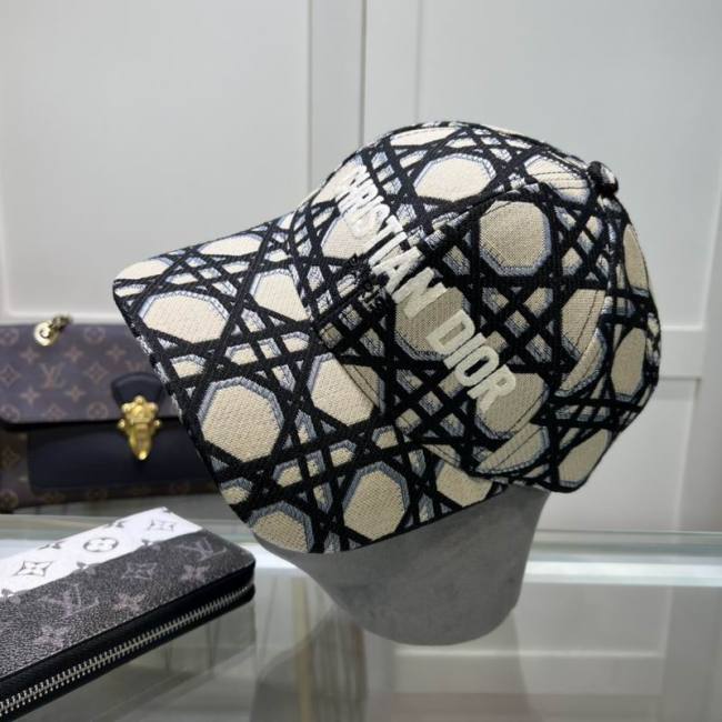 Dior Hats AAA-1194