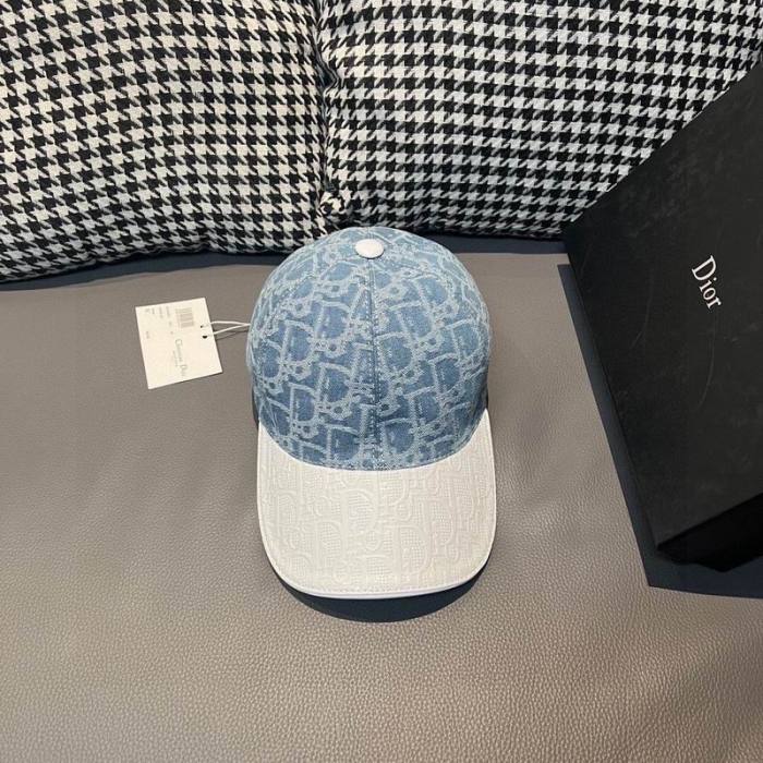 Dior Hats AAA-1176