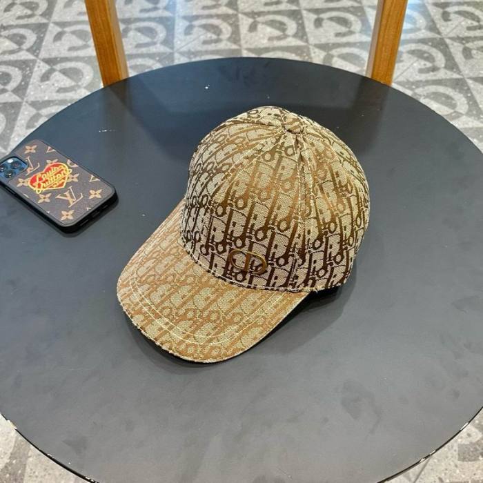Dior Hats AAA-1289