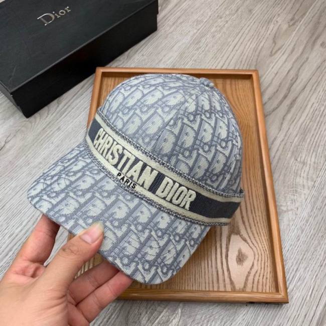 Dior Hats AAA-1236