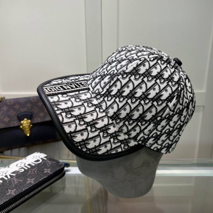 Dior Hats AAA-1247