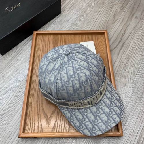 Dior Hats AAA-1234