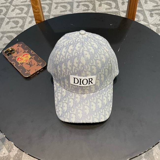 Dior Hats AAA-1255