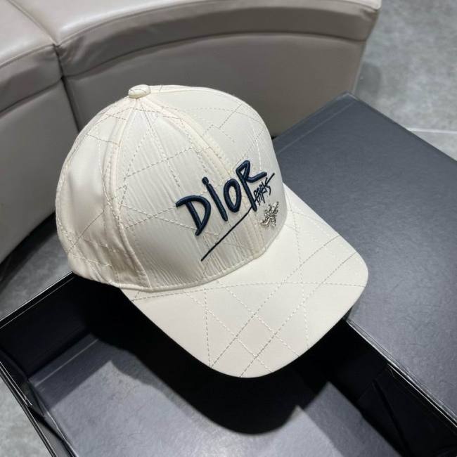 Dior Hats AAA-1270