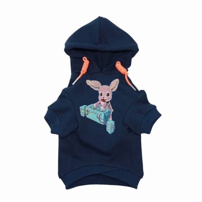 Dior Pet Hoodies-176