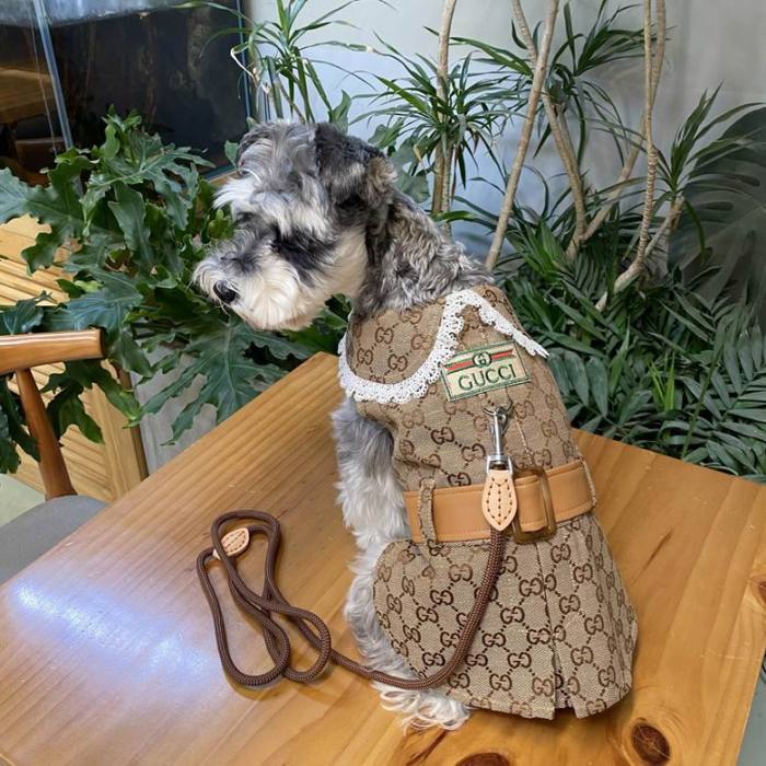 G Pet Rope-002