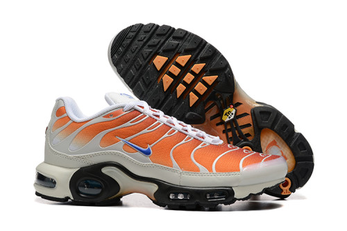 Nike Air Max TN Plus men shoes-1797
