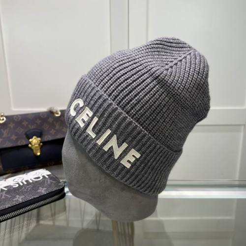 Celine Hats AAA-1114