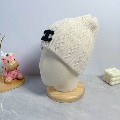 Celine Hats AAA-1261