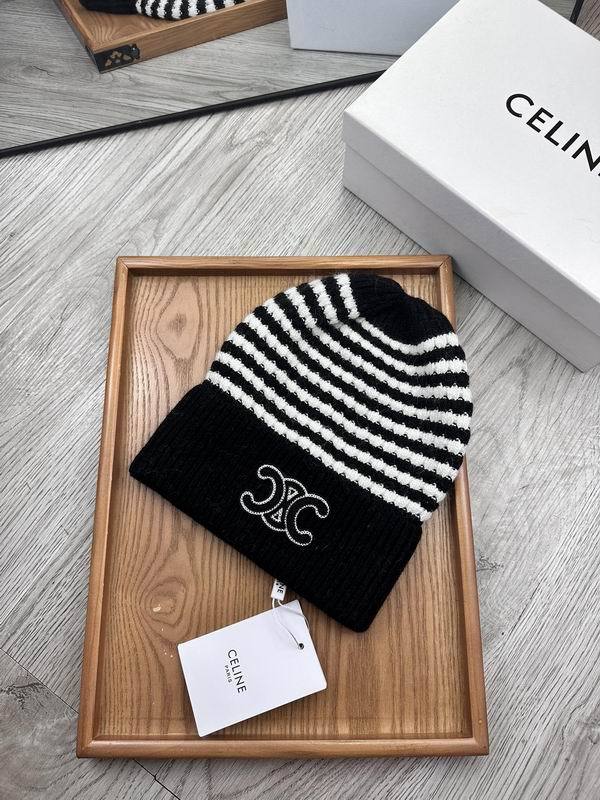 Celine Hats AAA-1198
