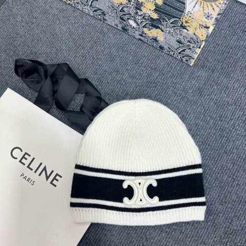 Celine Hats AAA-1161