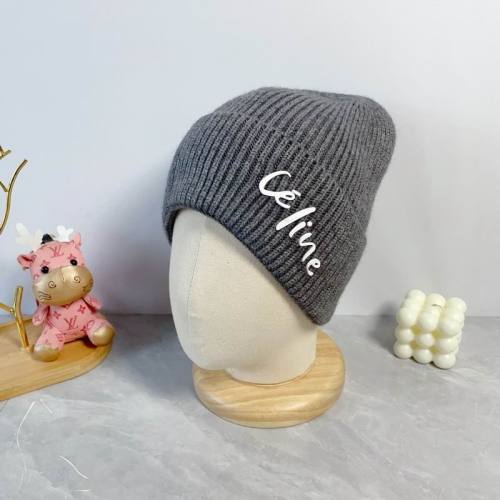 Celine Hats AAA-1253