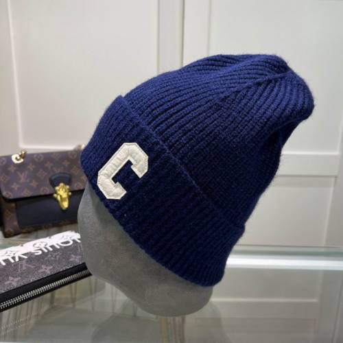 Celine Hats AAA-1354