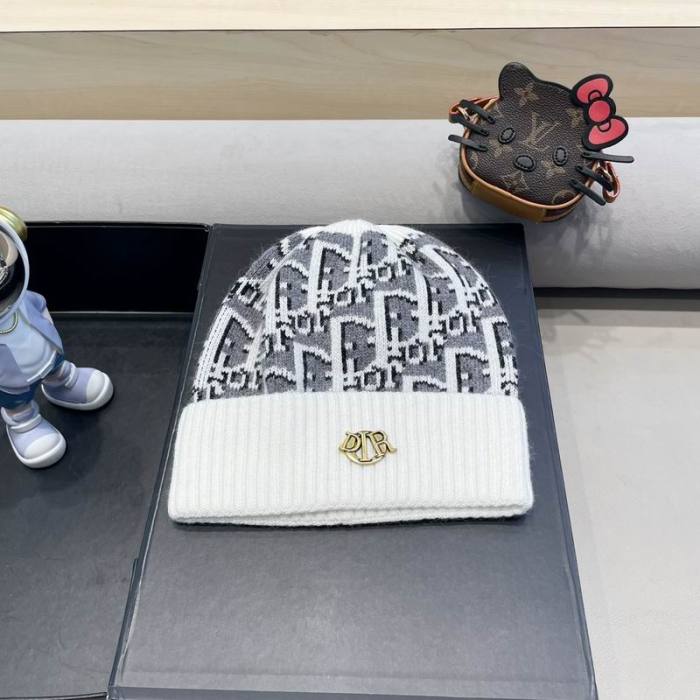 Dior Hats AAA-1347
