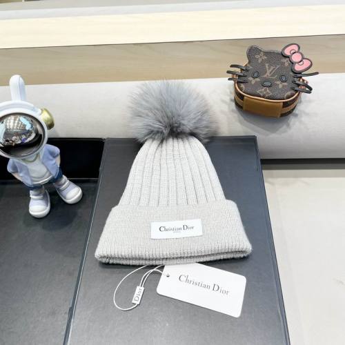 Dior Hats AAA-1405