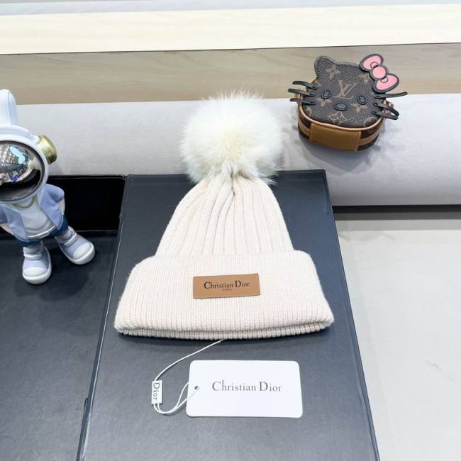Dior Hats AAA-1406