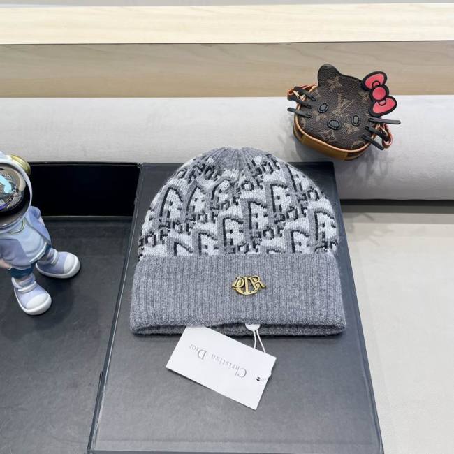Dior Hats AAA-1349
