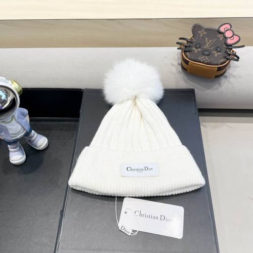 Dior Hats AAA-1403