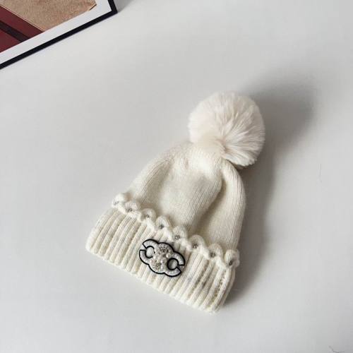 Celine Hats AAA-1428