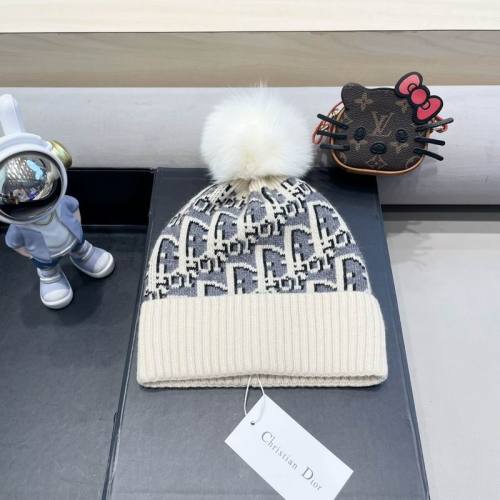 Dior Hats AAA-1398