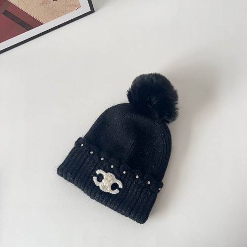 Celine Hats AAA-1427
