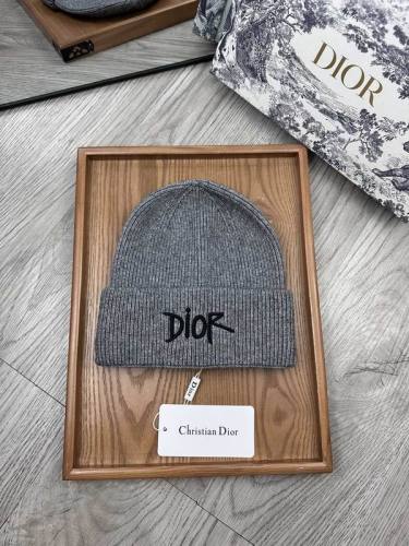 Dior Hats AAA-1341