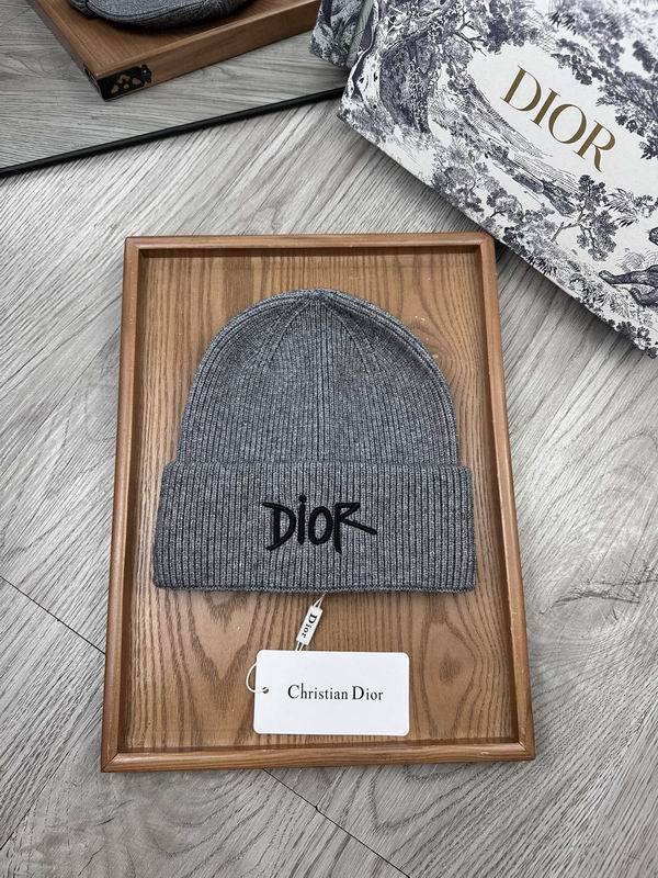 Dior Hats AAA-1341