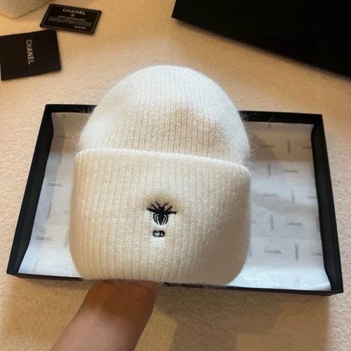 Dior Hats AAA-1360