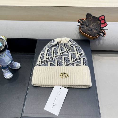 Dior Hats AAA-1346
