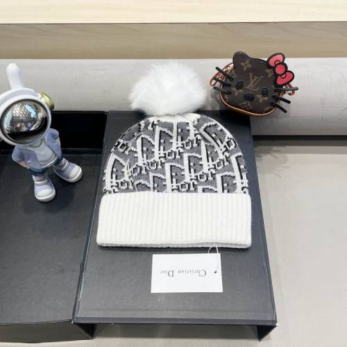 Dior Hats AAA-1395