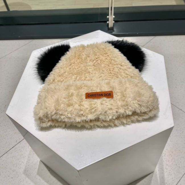 Dior Hats AAA-1411
