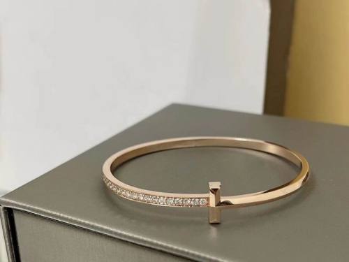 Tiffany Bracelet-179