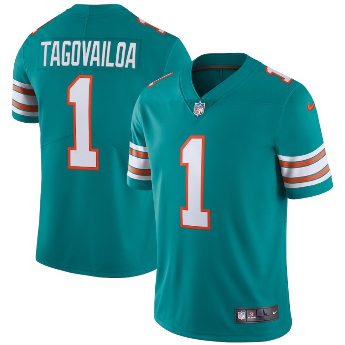 NFL Miami Dolphins-130