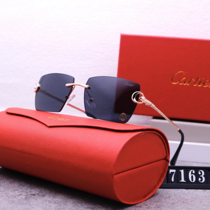 Cartier Sunglasses AAA-3683