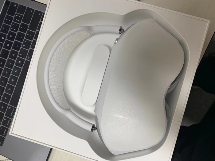 Air Pods MaX