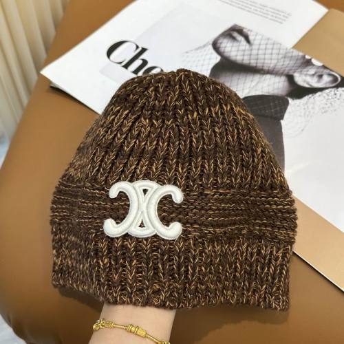 Celine Hats AAA-1570