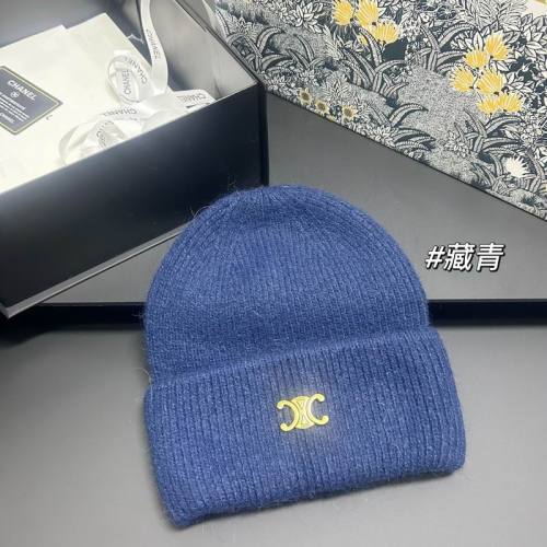 Celine Hats AAA-1620