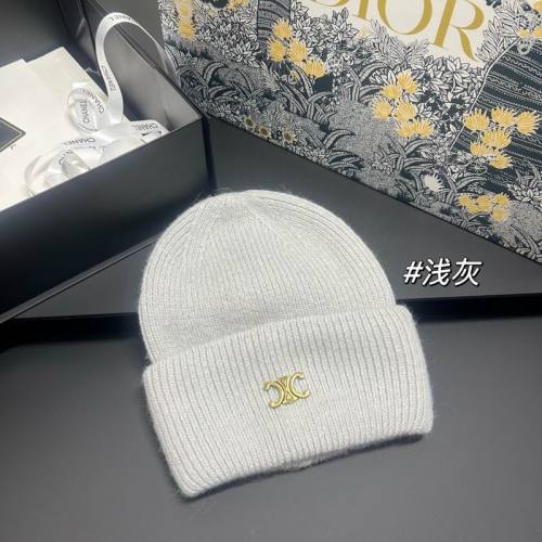 Celine Hats AAA-1625