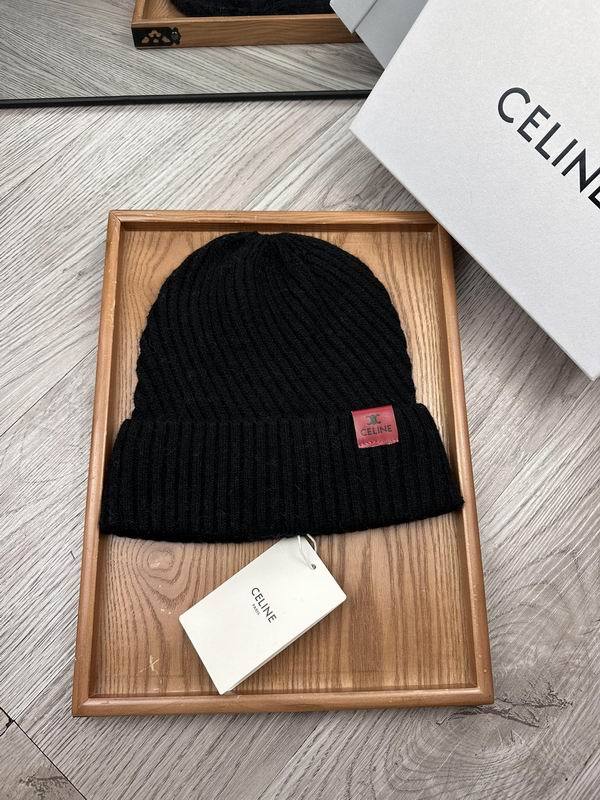 Celine Hats AAA-1551