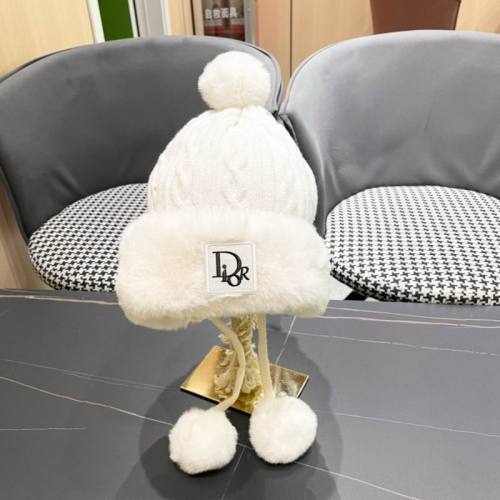 Dior Hats AAA-1448