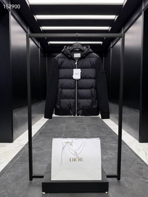Dior Down Coat men-174