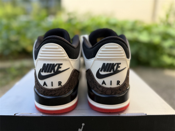 Super Max Perfect Jordan 3 shoes-032