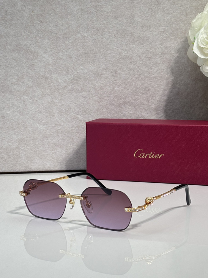 Cartier Sunglasses AAAA-14570